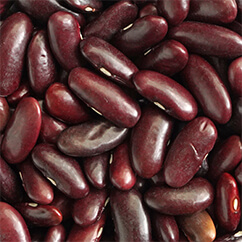 Red Kidney Bean import india